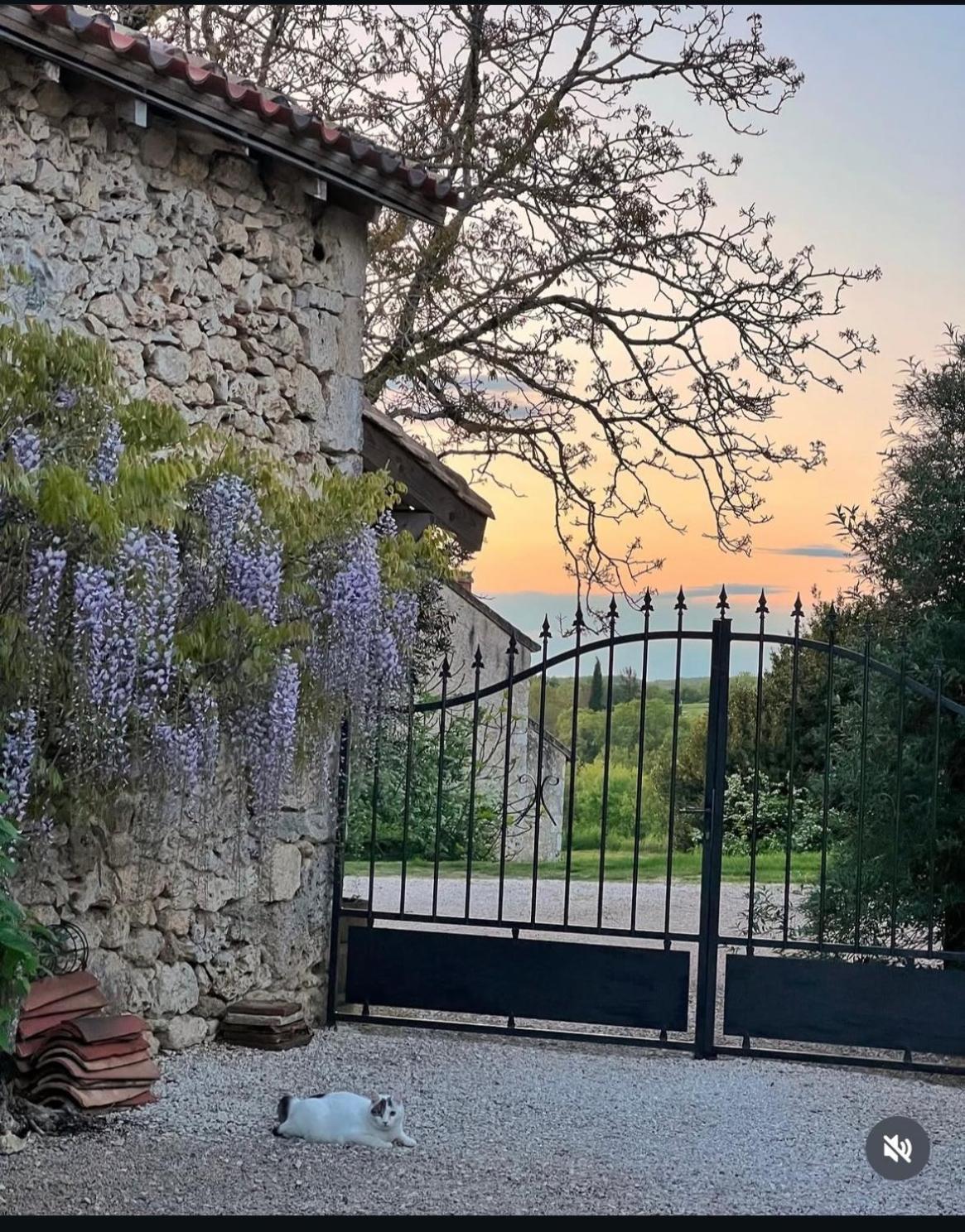 Le Gite De La Maison Des Chats - Gite En Quercy Saint-Amans-du-Pech Exterior photo